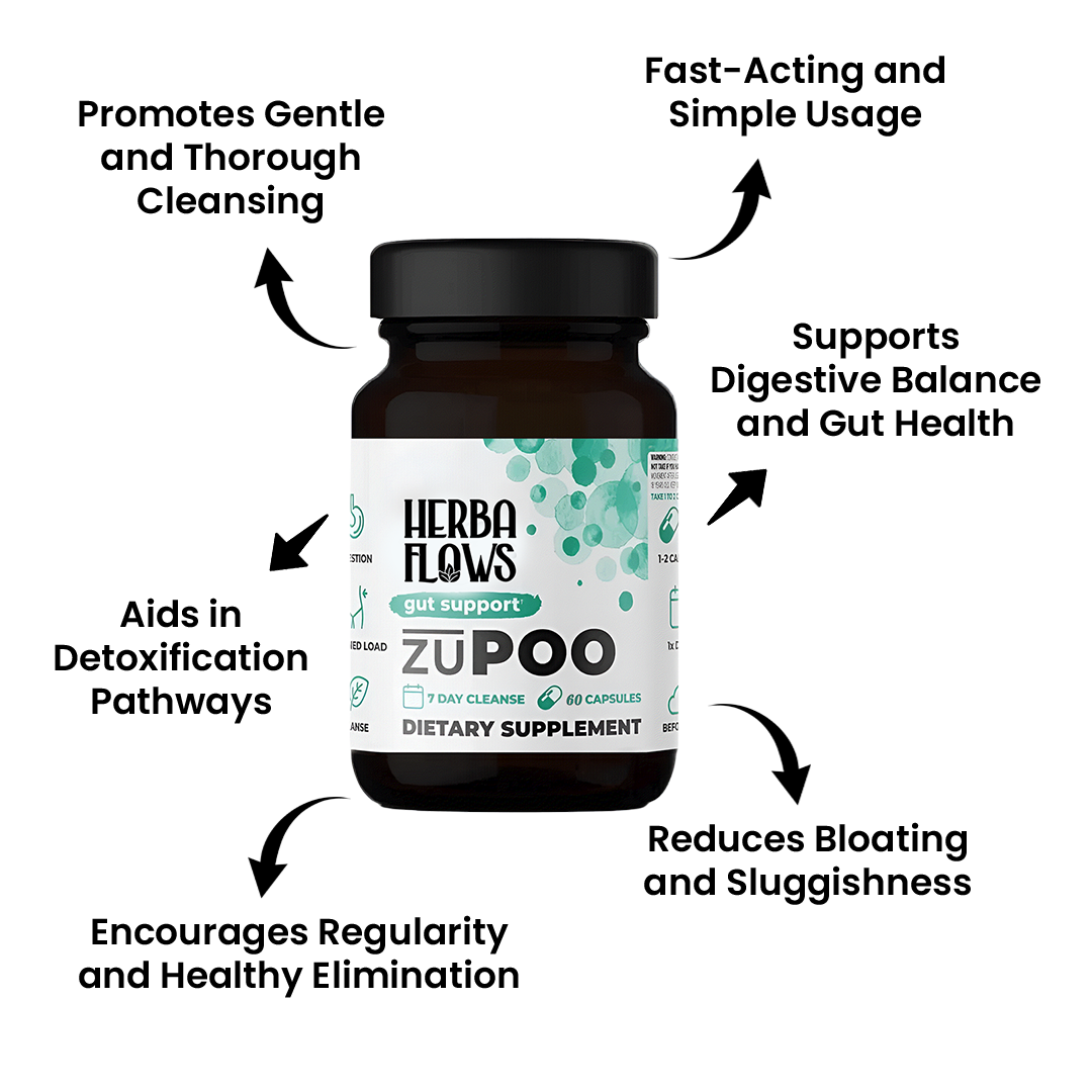 3 Ways HerbaFlows Gut Support ZUPOO Helps Your System